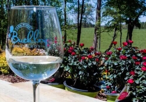 Buckley Vineyards